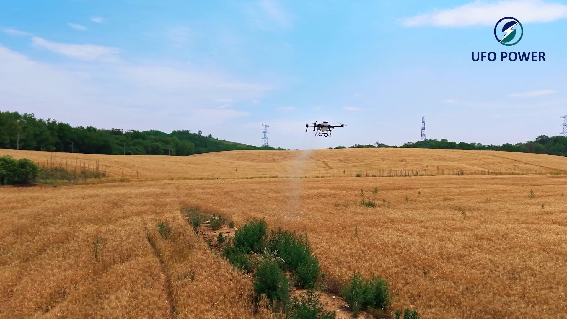 1月31日 (1) 封面