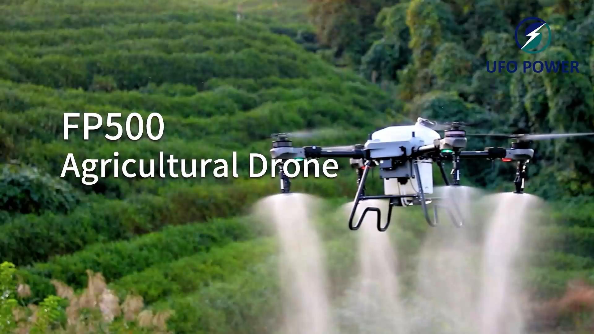 1月31日 (1)(2) 封面