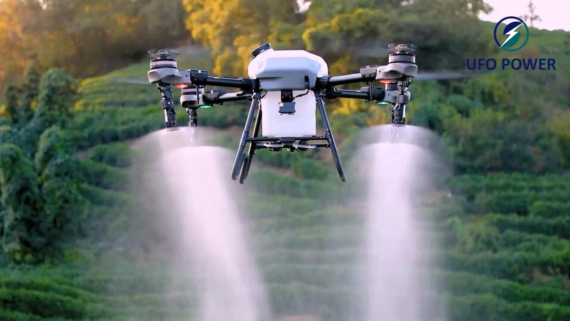 1月31日 (1)(3) 封面